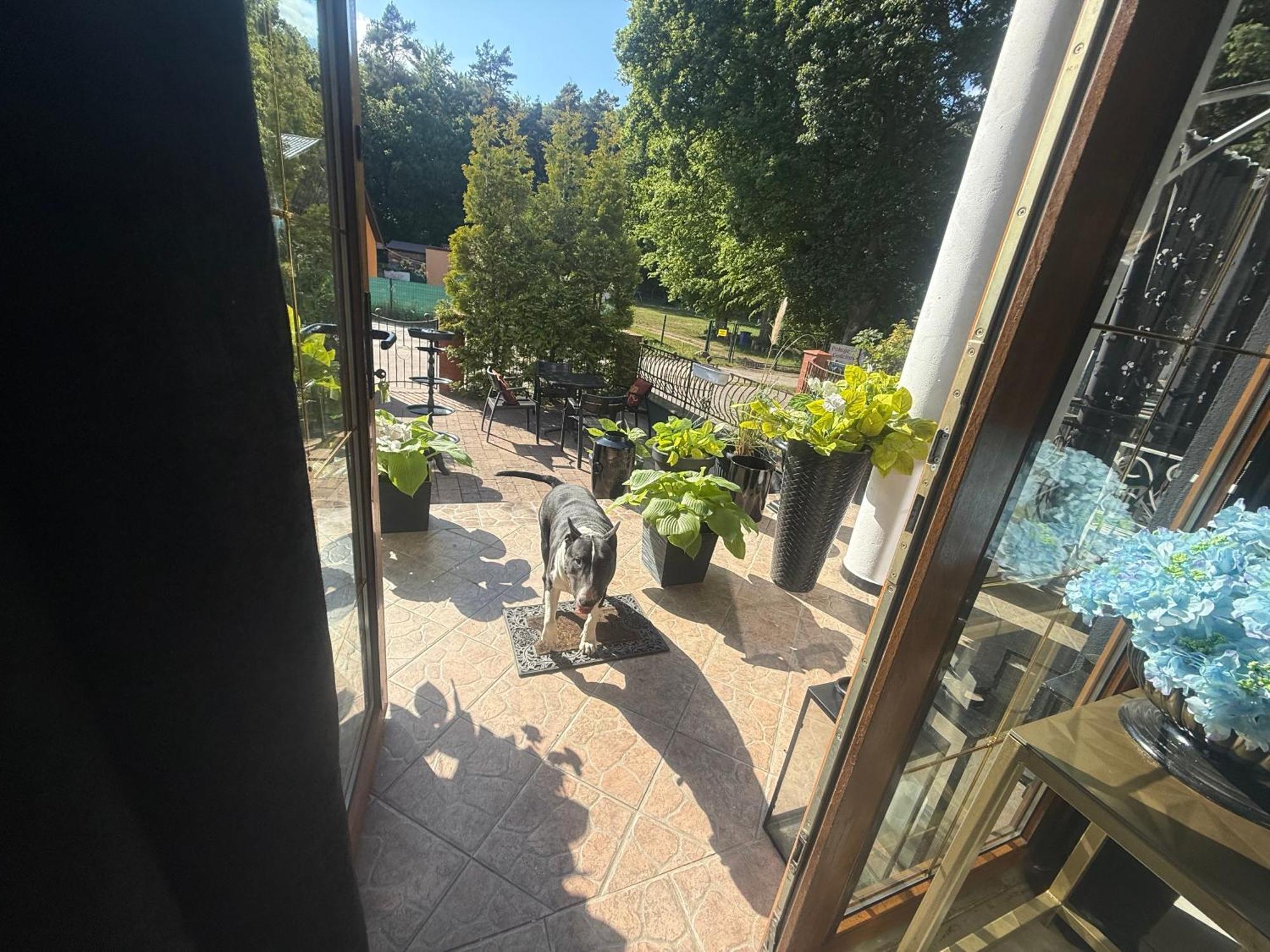 Korab Wiselka & Spa Hotel Eksteriør billede